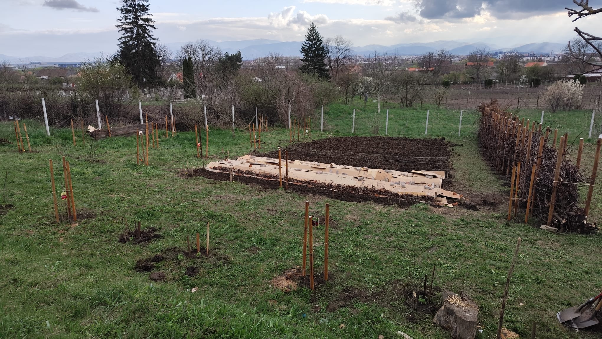 Șura Culturală Gușterița 7